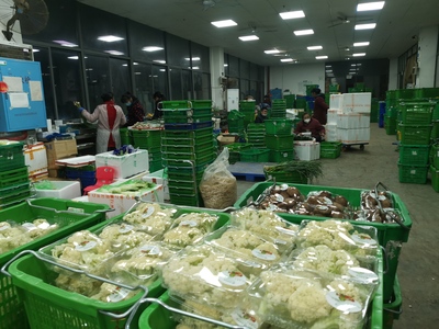 凌晨的繁忙 200噸“菜籃子”高效分揀發(fā)運(yùn)長(zhǎng)沙各大商超