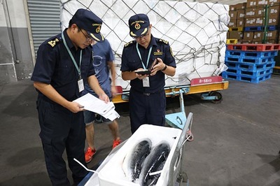 隨到隨報(bào)、隨到隨驗(yàn) 杭州空港冰鮮水產(chǎn)進(jìn)口持續(xù)增長(zhǎng)的市場(chǎng)調(diào)查
